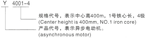 西安泰富西玛Y系列(H355-1000)高压ZZJ-802A 三相异步电机型号说明