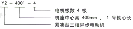 YR系列(H355-1000)高压ZZJ-802A 三相异步电机西安西玛电机型号说明